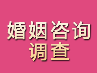 广宁婚姻咨询调查